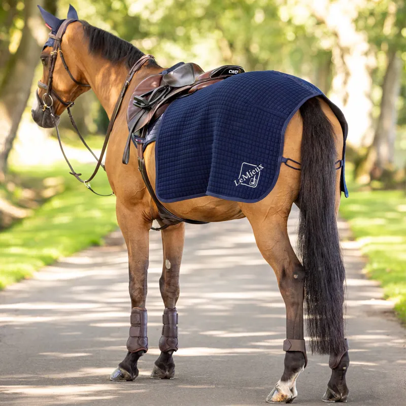 LeMieux Arika Clima-Tek Quarter Sheet - Navy